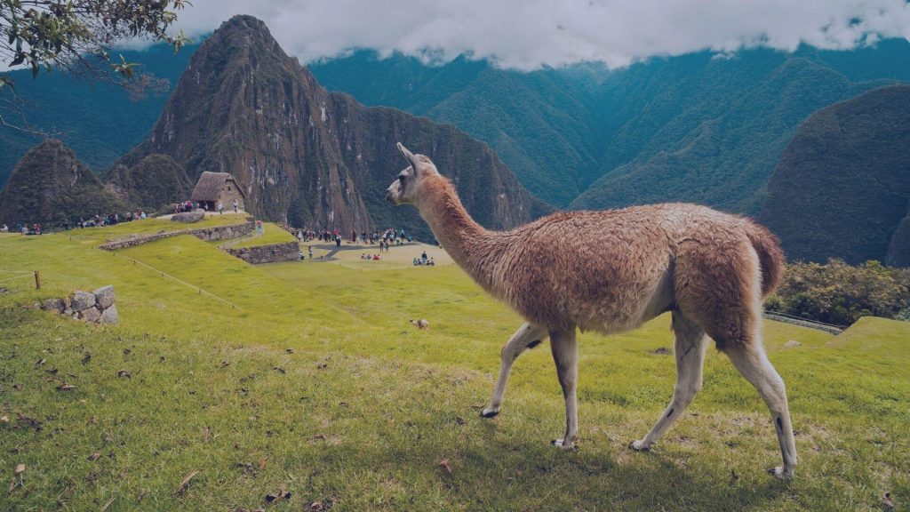 MoneyGram en Perú: Cómo funciona