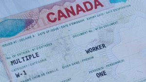 visa de trabajo canada desde mexico